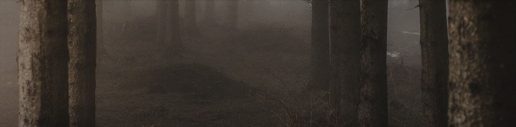 Always Wary in the&nbsp;Woods