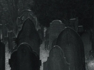 Wicked Branches – Pt.&nbsp;2